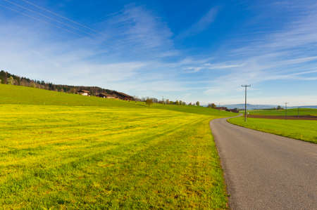 Cows grazing on fresh green mountain pastures. Animal husbandry in Switzerland, fields and meadow....
