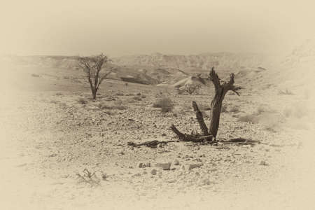 Loneliness and emptiness of the rocky hills of the Negev Desert in Israel. Breathtaking landscape...