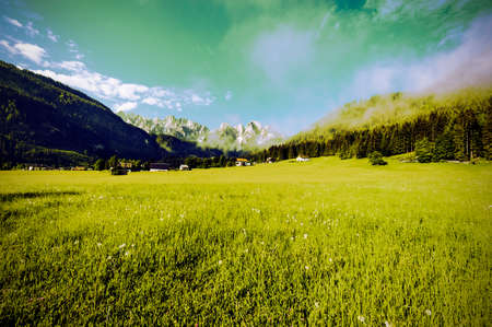 Austrian landscape with forests and meadows on the background of snow-capped Alps in early morning. Agriculture in Austria, fields and pastures. Vintage styleの写真素材