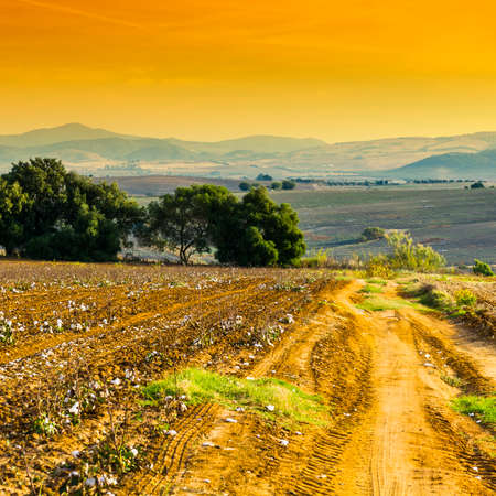 Fields in Spain after harvesting at sunrise. Breathtaking landscape and nature of the Iberian Peninsulaの写真素材