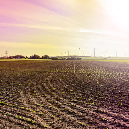 Plowed fields in Austrian landscape with modern wind turbines producing energy at sunriseの写真素材