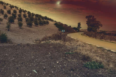 Olive grove in Spain in the light of the moon. Breathtaking landscape and nature of the Iberian...