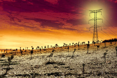 Olive grove and fields in Spain after harvesting at sunrise. Electrical power lines on pylons in the landscape of the Iberian Peninsulaの写真素材