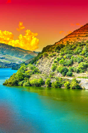 Travel in River Douro region in Portugal among vineyards and olive groves. Viticulture in the...
