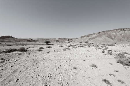 Dramatic scene in black and white of the rocky hills of the Negev Desert in Israel. Breathtaking landscape and nature of the Middle East.の写真素材