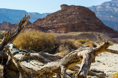 Rocky hills of the Negev Desert in Israel. Breathtaking landscape of the rock formations in the Southern Israel. Dusty mountains interrupted by wadis  and deep craters.の写真素材