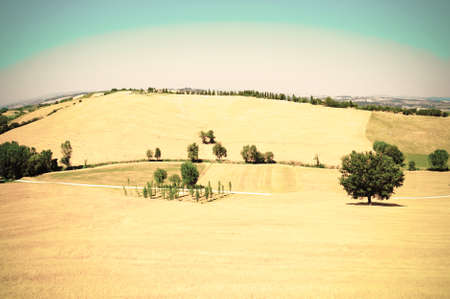 Toscana landscape of the wheat field with hay bales. Retro style
