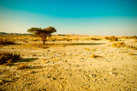 Breathtaking landscape of the rock formations in the Israel desert. Dusty mountains interrupted by...