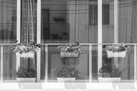 Building with modern window decorated with fresh flowers on Malta. Black and white pictureの写真素材