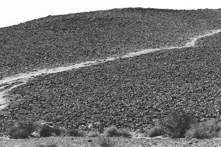 Desolate infinity of the Rocky hills of the Negev Desert in Israel. Breathtaking landscape and nature of the Middle East.の写真素材