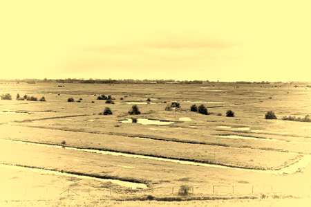 Agriculture on Land Reclaimed from the See in Netherlands. Tidal marsh and meadows formed by dams in Holland. Vintage style toned pictureの写真素材