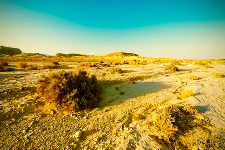 Breathtaking landscape of the rock formations in the Israel desert. Dusty mountains interrupted by wadis  and deep craters. Vintage Style Desertの写真素材