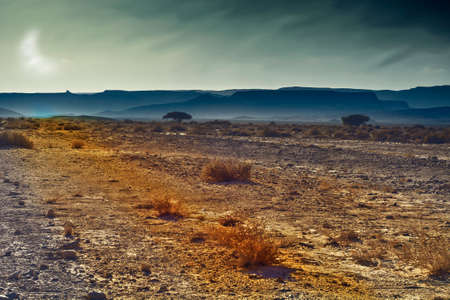 Rocky hills of the Negev Desert in the light of the moon. Breathtaking landscape of the rock...