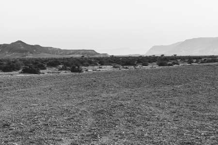 Loneliness and emptiness of the rocky hills of the Negev Desert in Israel. Breathtaking landscape and nature of the Middle East. Black and white photoの写真素材
