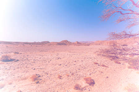 Breathtaking landscape of the rock formations in the Israel desert in faded color effect. Lifeless and desolate scene as a concept of loneliness, hopelessness and depression.の写真素材