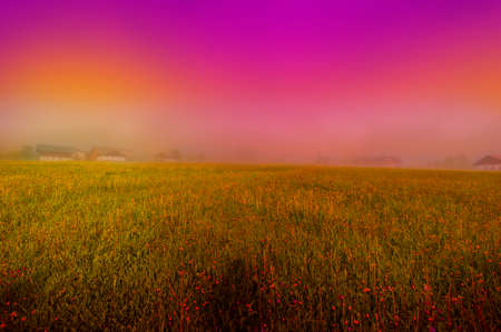 Morning mist over the Austrian landscape with forests, fields, pastures and meadows at sunsetの写真素材