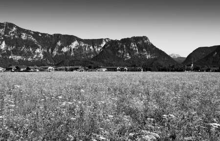 German village with a church in a meadow at the foot of the Bavarian Alps in black and whiteの写真素材