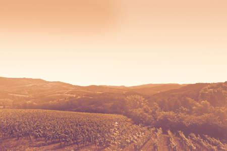 Foothills of the Alps - vineyards in the picturesque fields of Tuscany on a sunny Italian day at...
