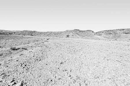 Breathtaking landscape of the rock formations in the Israel desert in black and white. Lifeless and desolate scene as a concept of loneliness, hopelessness and depression.の写真素材
