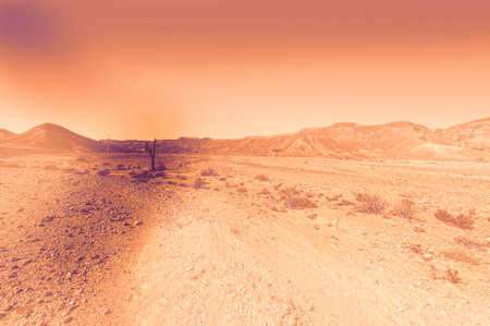 Breathtaking landscape of the rock formations in the Israel desert at dawn in a contemporary style. Lifeless and desolate scene as a concept of loneliness, hopelessness and depression.の写真素材