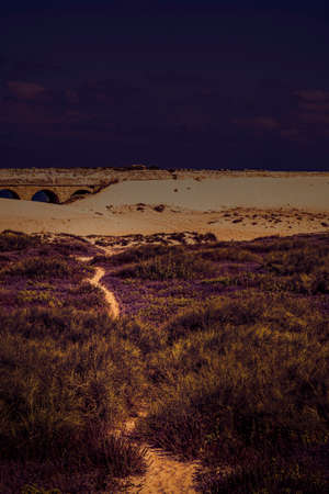 Ancient Roman aqueduct on the Mediterranean coast of Israel in the sand dunes at dawn in a contemporary style.の写真素材