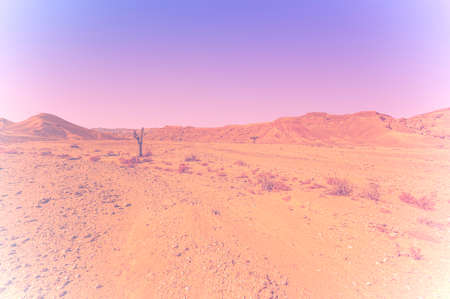 Breathtaking landscape of the rock formations in the Israel desert in faded color effect. Lifeless and desolate scene as a concept of loneliness, hopelessness and depression.の写真素材