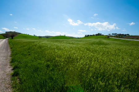 Winding dirt road between spring fields of Tuscanyの写真素材