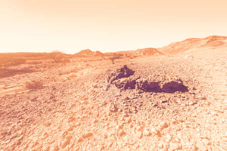 Breathtaking landscape of the rock formations in the Israel desert at dawn in a contemporary style. Lifeless and desolate scene as a concept of loneliness, hopelessness and depression.の写真素材