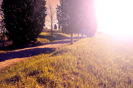 Winding dirt road between Tuscany spring fields at sunset.の写真素材