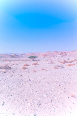Breathtaking landscape of the rock formations in the Israel desert in faded color effect. Lifeless and desolate scene as a concept of loneliness, hopelessness and depression.の写真素材