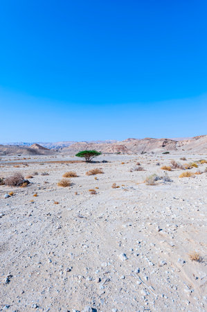 Breathtaking landscape of the rock formations in the Israel desert. Lifeless and desolate scene as a concept of loneliness, hopelessness and depression.の写真素材
