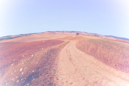 Abandoned winding road between mown wheat fields in Italian Tuscany in faded color effect.の写真素材
