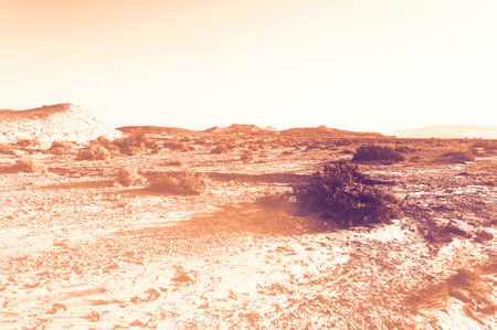 Breathtaking landscape of the rock formations in the Israel desert at dawn in a contemporary style. Lifeless and desolate scene as a concept of loneliness, hopelessness and depression.の写真素材