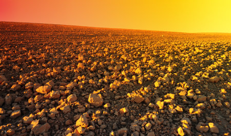 Freshly Plowed Field In Spring Ready For Cultivation, Sunsetの写真素材