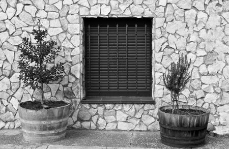 Facade of a Spanish house with a barred window and trees in tubs in black and white.の写真素材