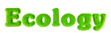 Ecology - High resolution grass text の写真素材