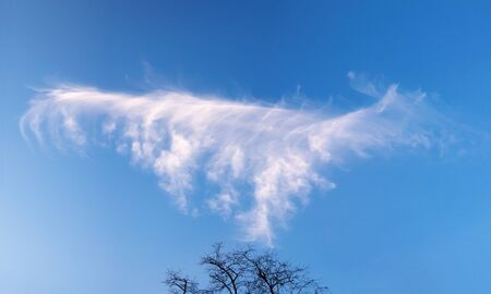 Funny cloudの写真素材