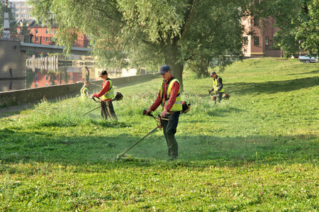 Workers mow the grass