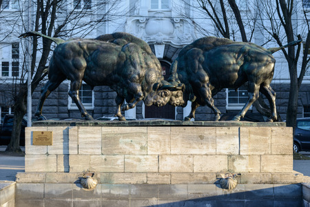 KALININGRAD, RUSSIA - MARCH 12, 2014  Fighting bison - sculptural composition from two large bison made by German sculptor August Gaulのeditorial素材