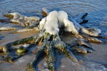 Winter Baltic sea beach, ice coveredの写真素材