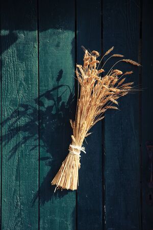 Bunch of herbs on a vintage doorの写真素材