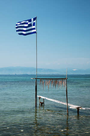 Drying octopus arms. Greece.の写真素材