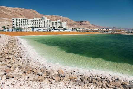Dead sea salt shore. Ein Bokek, Israelの写真素材