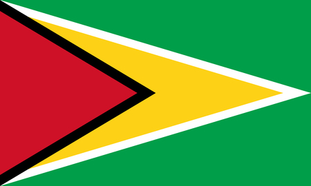 Flag in colors of Guyana, vector imageのイラスト素材