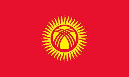 Flag of Kyrgyzstan official colors and proportions, vector imageのイラスト素材