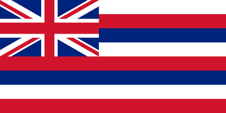 Flag of the USA State of Hawaii, vectorのイラスト素材