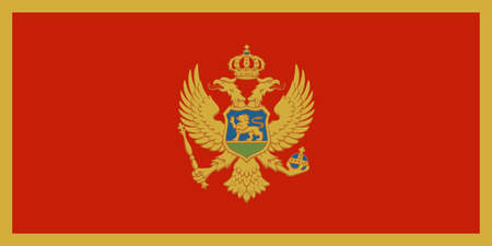 Flag of Montenegro in official rate and colors, vector.のイラスト素材