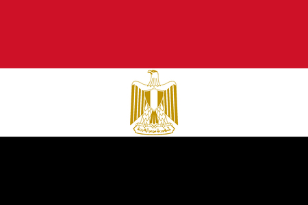 Flag of Egypt in official rate and colors, vector.のイラスト素材
