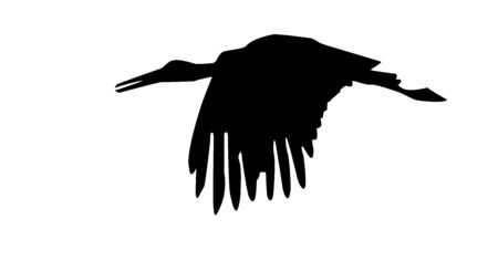 Stork black silhouette flying on a white background, vectorのイラスト素材