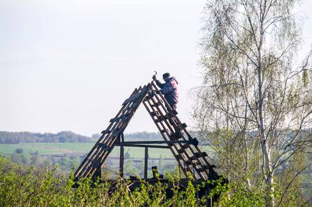 Repair of a wooden roof of a wooden barn on a background of natureの写真素材